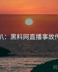 独家深扒：黑料网直播事故传播路径