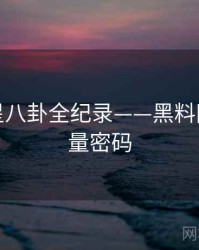 热辣明星八卦全纪录——黑料网入口流量密码