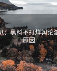 独家深扒：黑料不打烊舆论漩涡背后原因