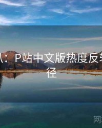 独家深扒：P站中文版热度反转传播路径