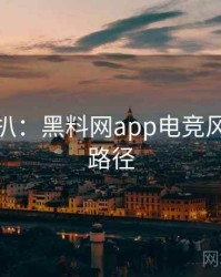 独家深扒：黑料网app电竞风波传播路径