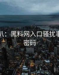 独家深扒：黑料网入口骚扰事件流量密码