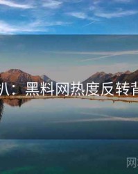 独家深扒：黑料网热度反转背后原因