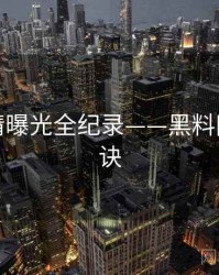 独家恋情曝光全纪录——黑料网爆火秘诀