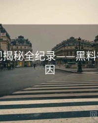 前瞻影视揭秘全纪录——黑料社背后原因