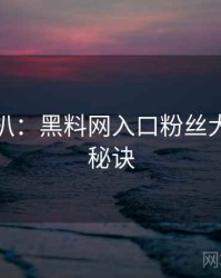 独家深扒：黑料网入口粉丝大战爆火秘诀