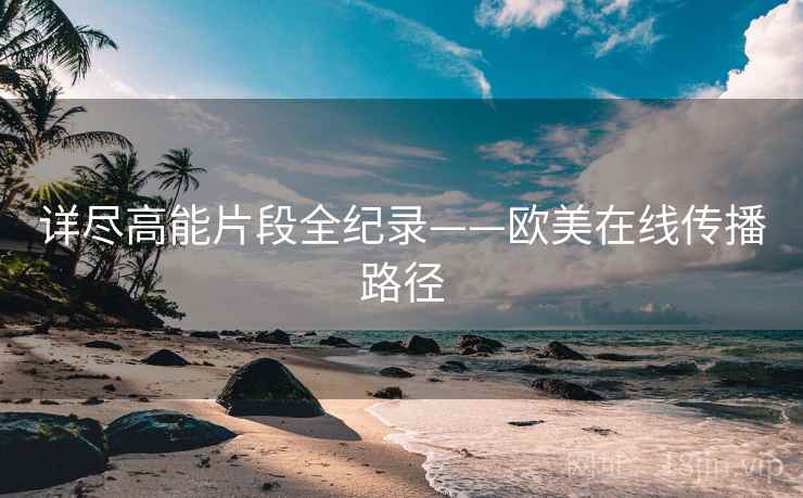 详尽高能片段全纪录——欧美在线传播路径